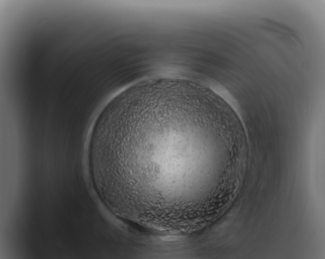X0000089761152200706281639