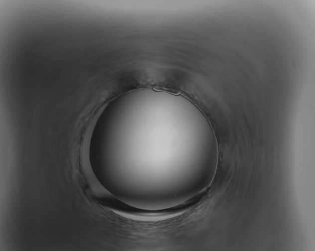 X0000089761153200706281638