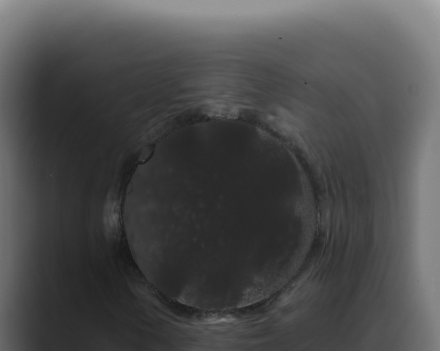 X0000089761154200706281638