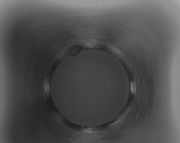 X0000089761155200706281638