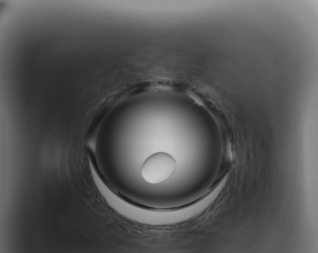 X0000089761157200706281638