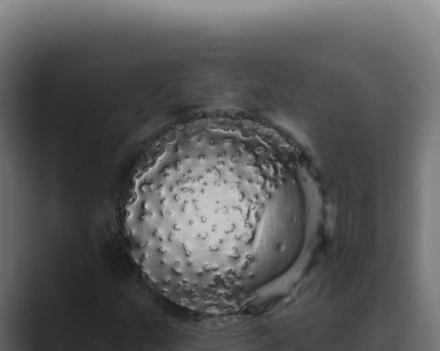 X0000089761159200706281638