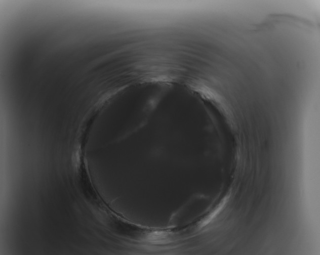 X0000089761161200706281638