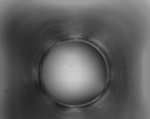 X0000089761162200706281638
