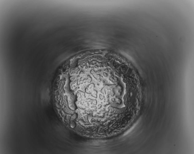 X0000089761163200706281638