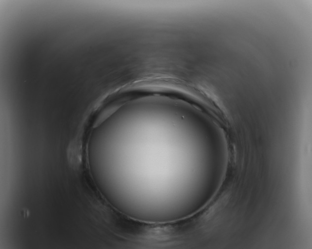 X0000089761165200706281638