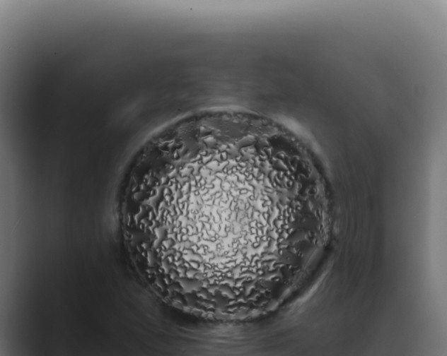 X0000089761167200706281638