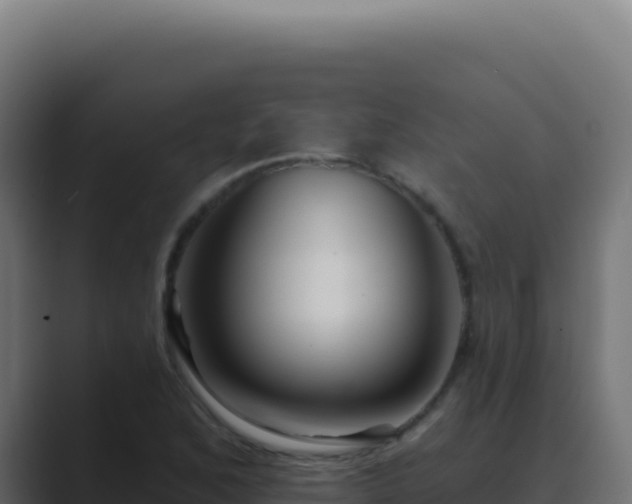 X0000089761168200706281638