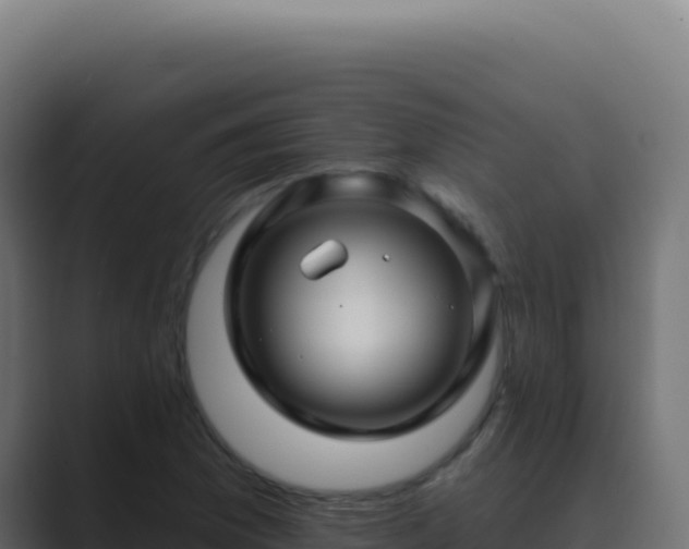 X0000089761169200706281638