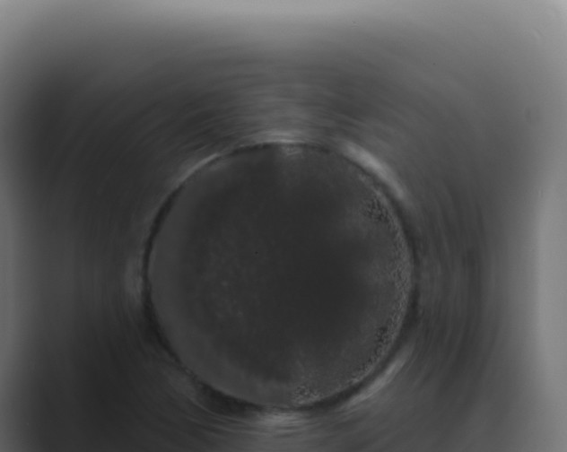 X0000089761170200706281638