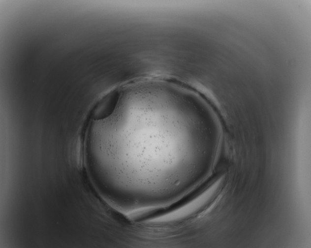 X0000089761171200706281638