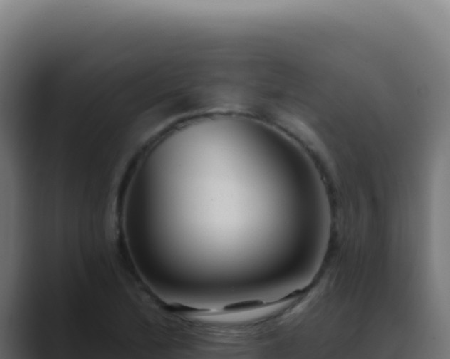 X0000089761172200706281638