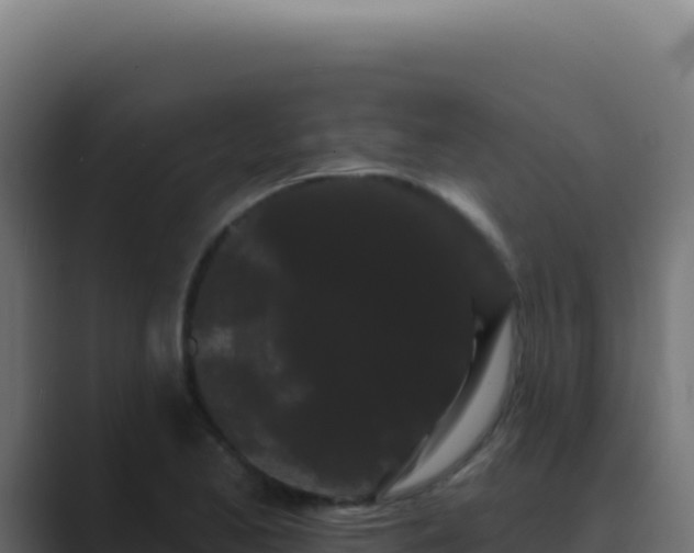 X0000089761173200706281638