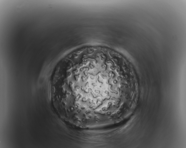X0000089761175200706281638