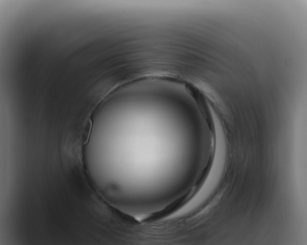 X0000089761177200706281638