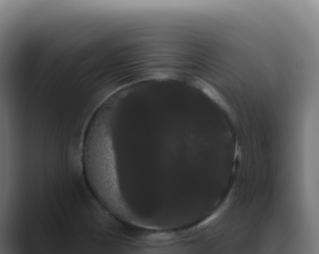 X0000089761178200706281638