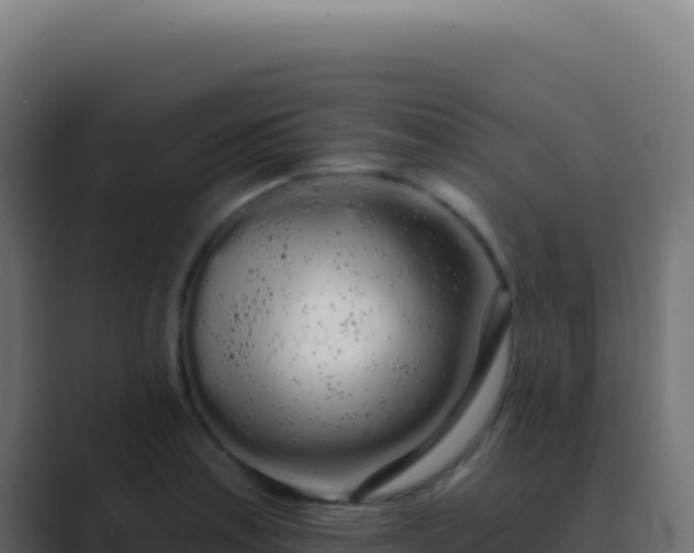 X0000089761179200706281638