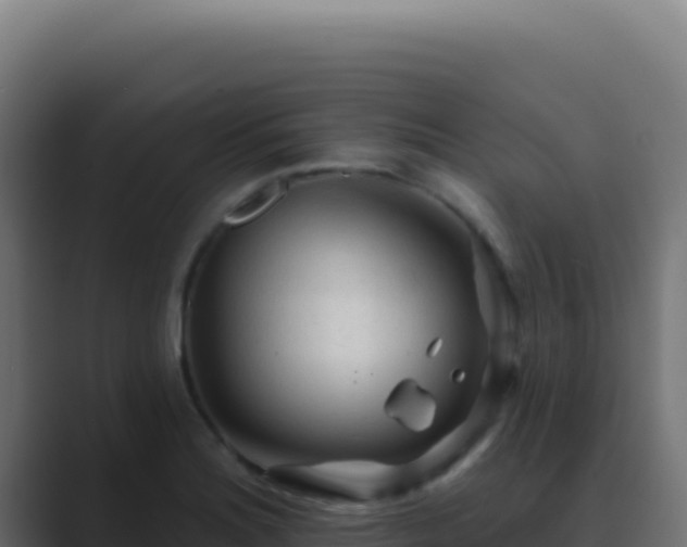 X0000089761180200706281638