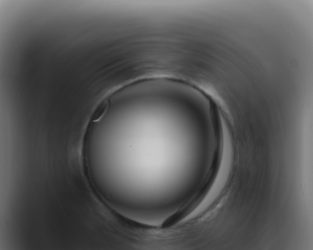 X0000089761181200706281638