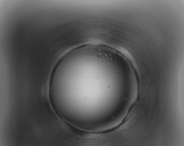 X0000089761183200706281638