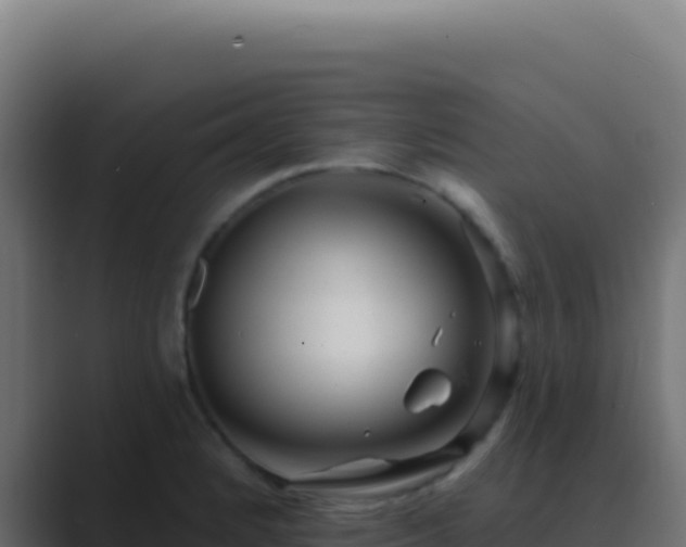 X0000089761184200706281638