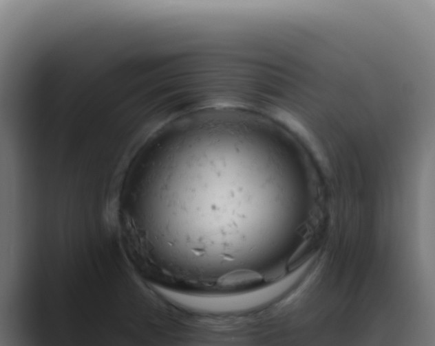 X0000089761185200706281638
