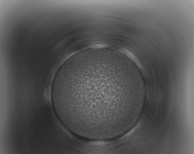 X0000089761186200706281638