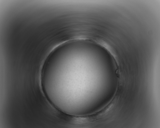 X0000089761187200706281638