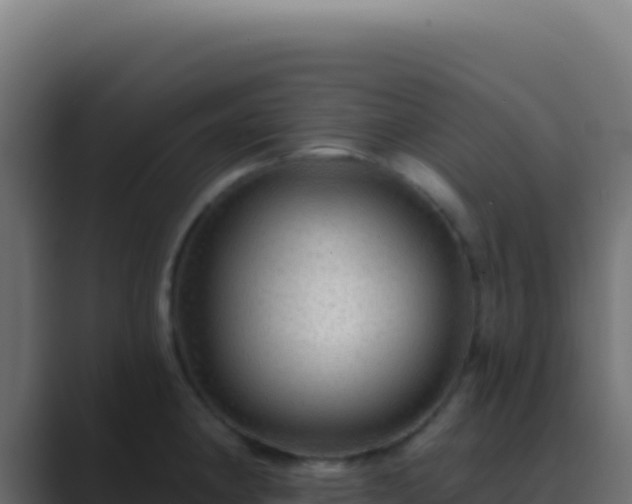 X0000089761190200706281638