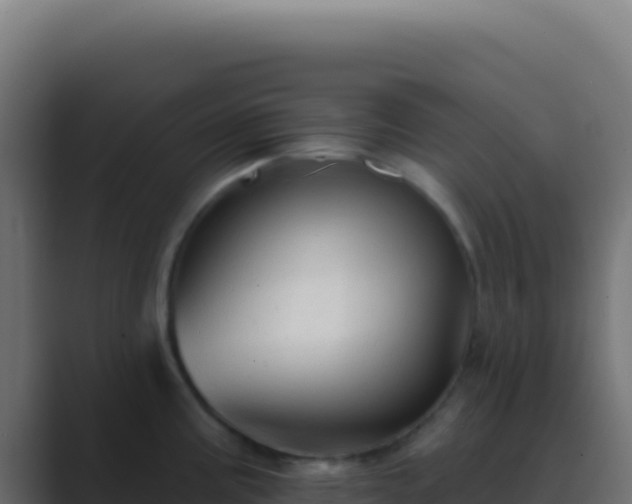 X0000089761195200706281638