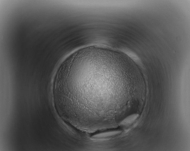 X0000089761200200706281638