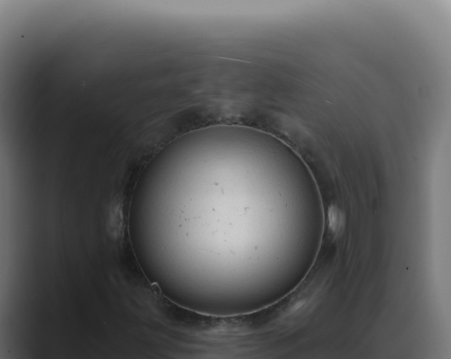 X0000089761203200706281637