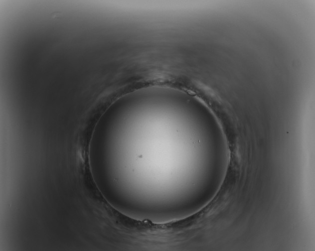 X0000089761206200706281637