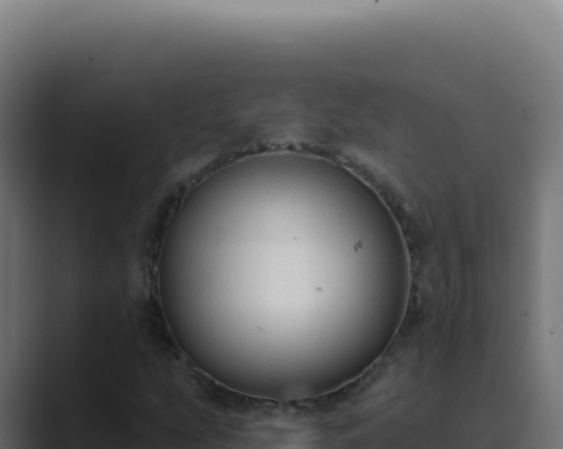 X0000089761207200706281637