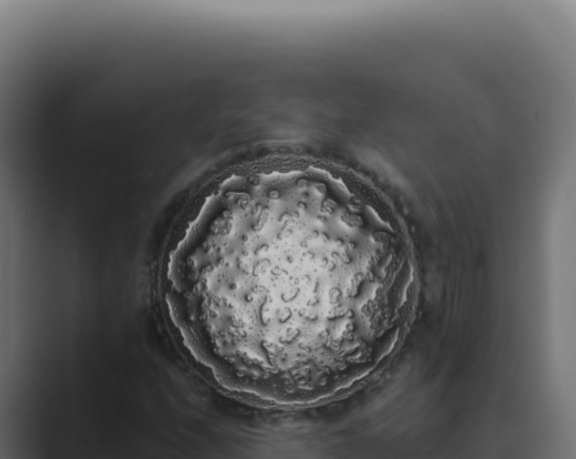 X0000089761208200706281637