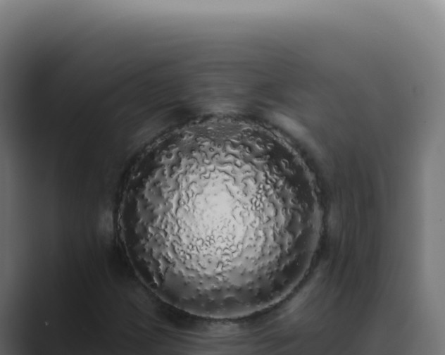 X0000089761209200706281637