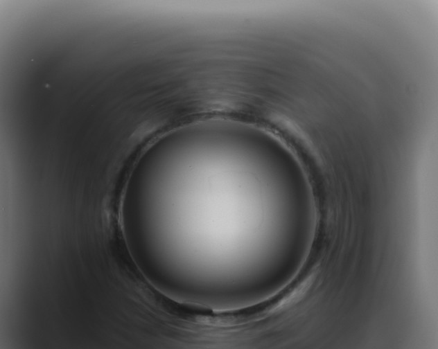 X0000089761210200706281637