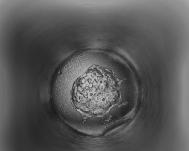 X0000089761213200706281637