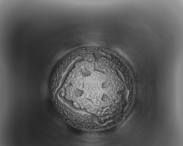 X0000089761215200706281637