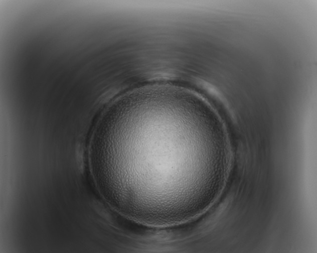 X0000089761217200706281637