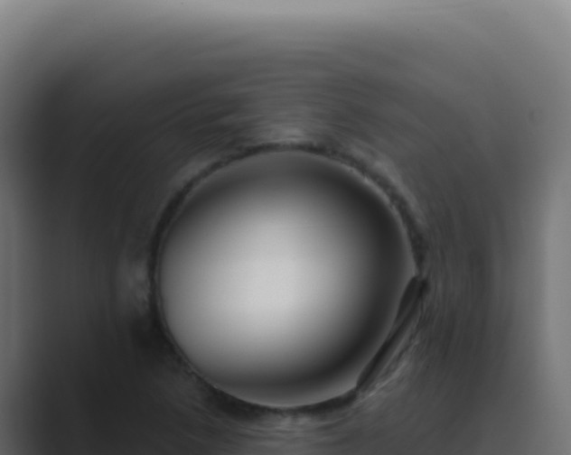 X0000089761218200706281637