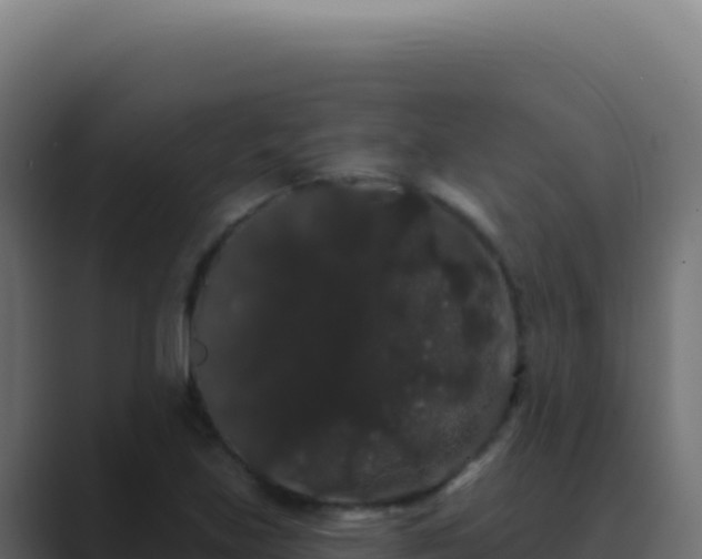 X0000089761219200706281637