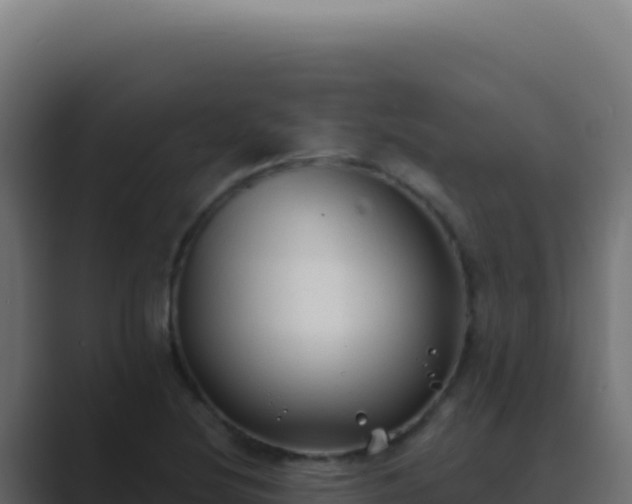 X0000089761220200706281637