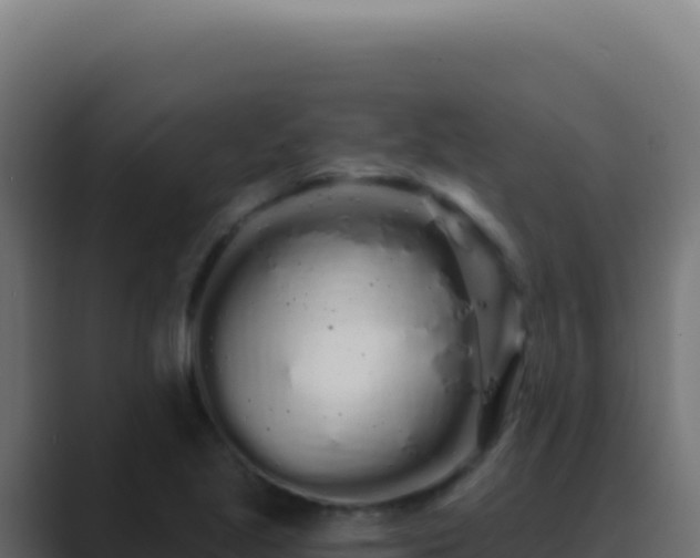 X0000089761221200706281637