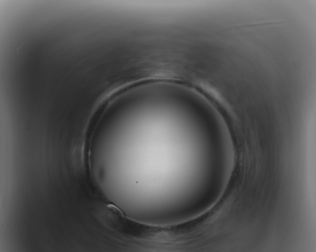 X0000089761222200706281637