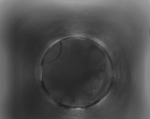 X0000089761223200706281637