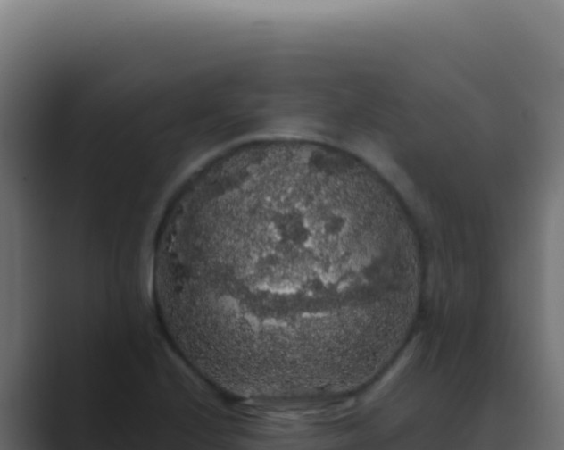 X0000089761224200706281637
