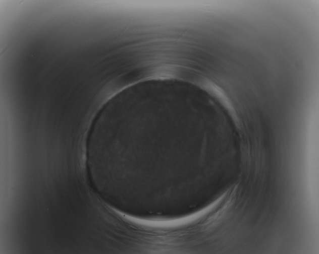 X0000089761226200706281637