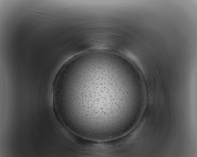X0000089761227200706281637