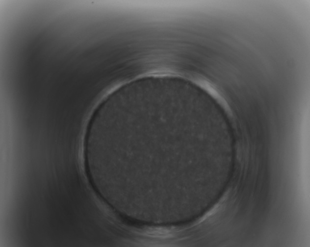 X0000089761229200706281637